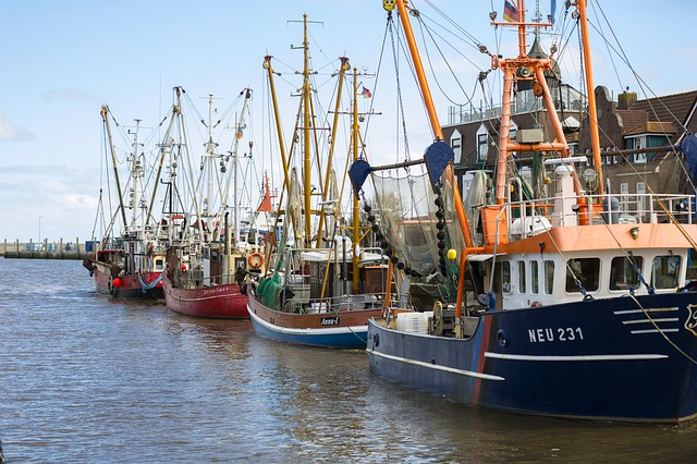 Proč EU zakázala lov tresky v Baltském moři
